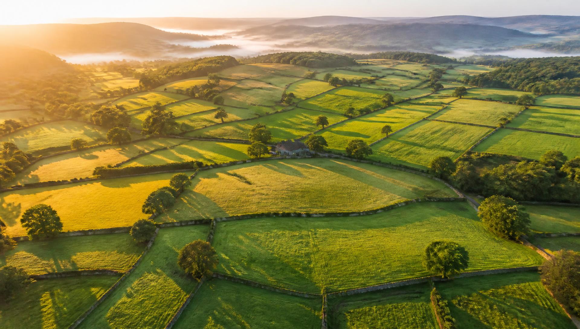 Aerial view of British farmland with hedgerows and dry stone walls